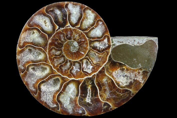 Agatized Ammonite Fossil (Half) - Madagascar #83865